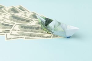 niche business funding